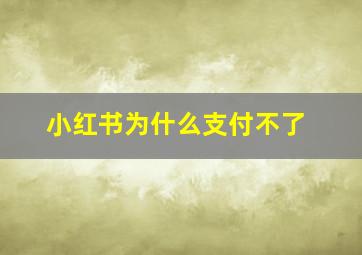 小红书为什么支付不了