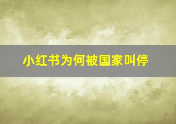 小红书为何被国家叫停