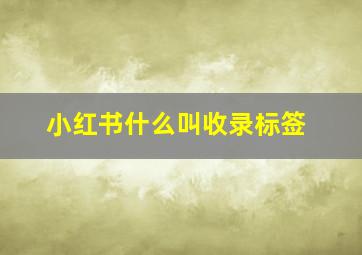 小红书什么叫收录标签