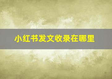 小红书发文收录在哪里