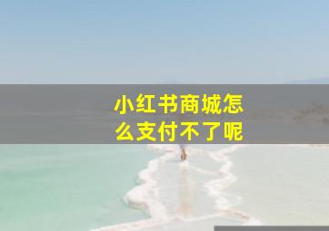 小红书商城怎么支付不了呢