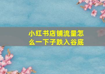 小红书店铺流量怎么一下子跌入谷底