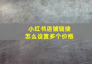 小红书店铺链接怎么设置多个价格