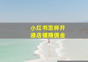 小红书怎样开通店铺赚佣金