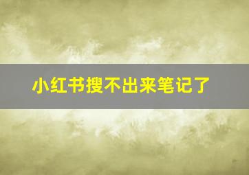 小红书搜不出来笔记了