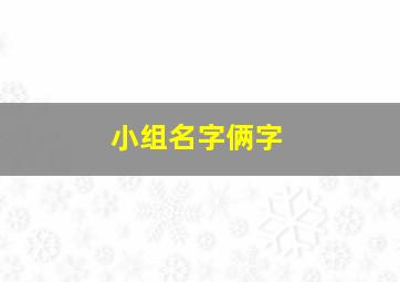 小组名字俩字