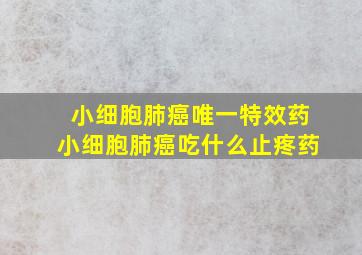 小细胞肺癌唯一特效药小细胞肺癌吃什么止疼药