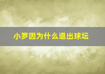 小罗因为什么退出球坛