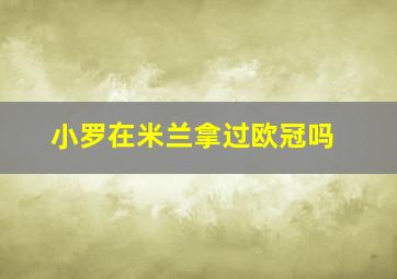 小罗在米兰拿过欧冠吗