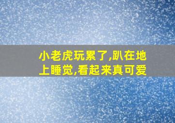 小老虎玩累了,趴在地上睡觉,看起来真可爱