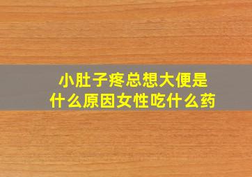 小肚子疼总想大便是什么原因女性吃什么药