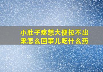 小肚子疼想大便拉不出来怎么回事儿吃什么药