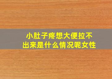 小肚子疼想大便拉不出来是什么情况呢女性