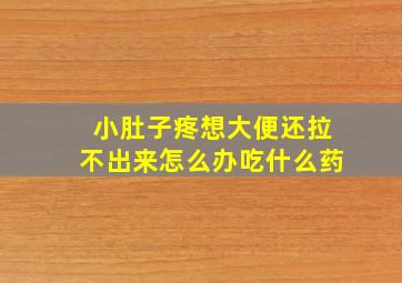 小肚子疼想大便还拉不出来怎么办吃什么药