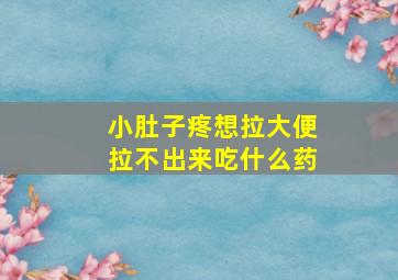 小肚子疼想拉大便拉不出来吃什么药