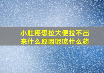 小肚疼想拉大便拉不出来什么原因呢吃什么药