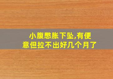 小腹憋胀下坠,有便意但拉不出好几个月了