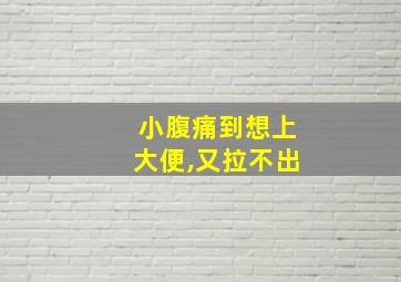 小腹痛到想上大便,又拉不出