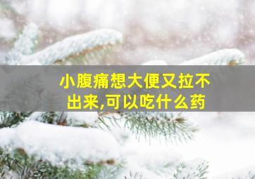 小腹痛想大便又拉不出来,可以吃什么药