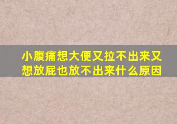 小腹痛想大便又拉不出来又想放屁也放不出来什么原因