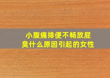 小腹痛排便不畅放屁臭什么原因引起的女性