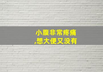 小腹非常疼痛,想大便又没有