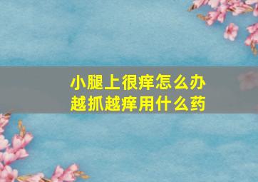 小腿上很痒怎么办越抓越痒用什么药