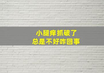 小腿痒抓破了总是不好咋回事