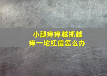 小腿痒痒越抓越痒一坨红痘怎么办