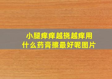 小腿痒痒越挠越痒用什么药膏擦最好呢图片