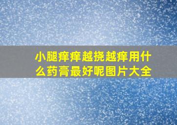 小腿痒痒越挠越痒用什么药膏最好呢图片大全