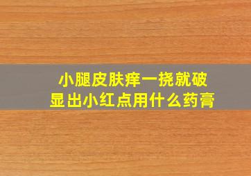 小腿皮肤痒一挠就破显出小红点用什么药膏