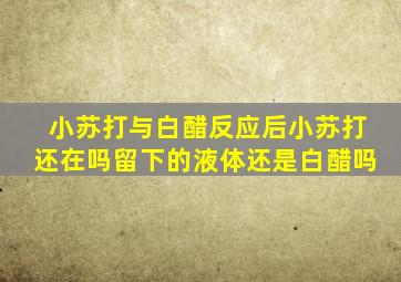 小苏打与白醋反应后小苏打还在吗留下的液体还是白醋吗