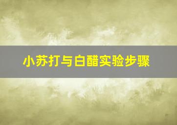 小苏打与白醋实验步骤