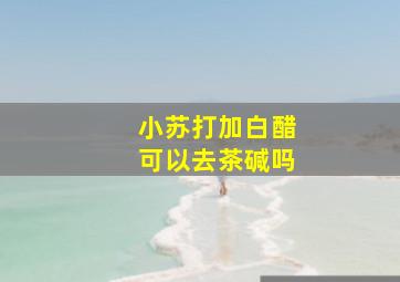 小苏打加白醋可以去茶碱吗