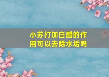 小苏打加白醋的作用可以去除水垢吗