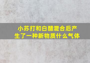 小苏打和白醋混合后产生了一种新物质什么气体