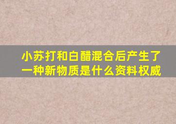 小苏打和白醋混合后产生了一种新物质是什么资料权威