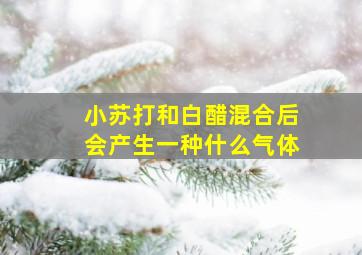 小苏打和白醋混合后会产生一种什么气体