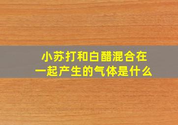 小苏打和白醋混合在一起产生的气体是什么