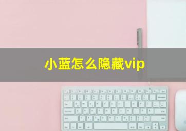 小蓝怎么隐藏vip