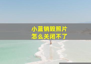 小蓝销毁照片怎么关闭不了