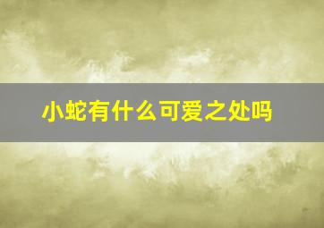 小蛇有什么可爱之处吗