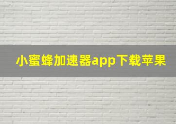 小蜜蜂加速器app下载苹果