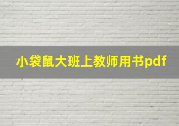 小袋鼠大班上教师用书pdf