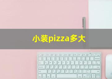 小装pizza多大