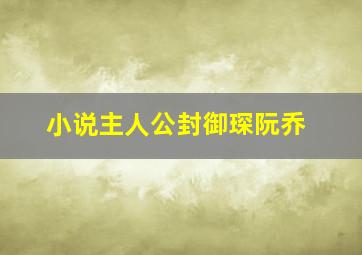 小说主人公封御琛阮乔