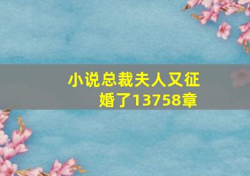 小说总裁夫人又征婚了13758章