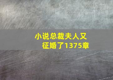 小说总裁夫人又征婚了1375章