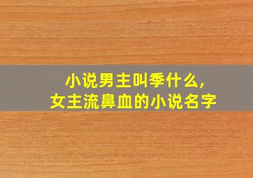 小说男主叫季什么,女主流鼻血的小说名字